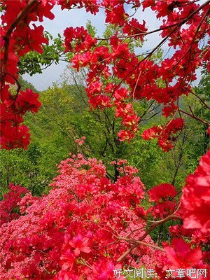 最全的《群山回唱》经典名句