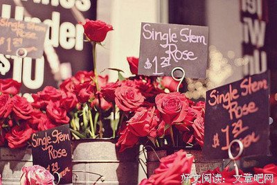 《自深深处》经典的句子