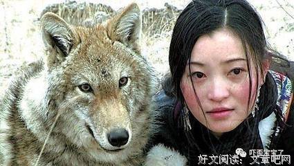 最新的《重返狼群》小说书摘