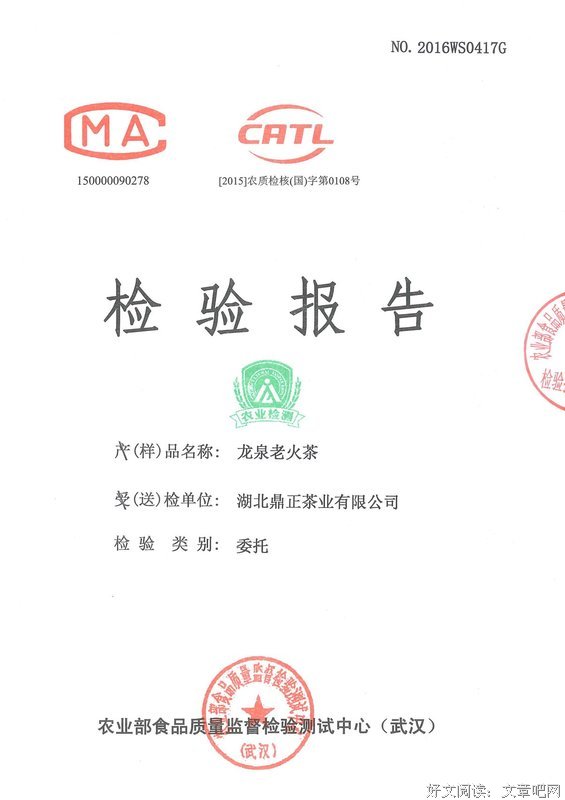 普通的倒水声中，我听到前所未闻的爱
