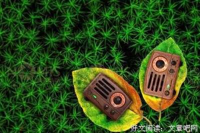众筹平台背后，藏着你看不见的恶