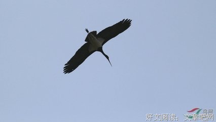 最经典的《一一风荷举》经典语录大全