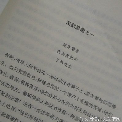 最新的《刺猬的优雅》电影台词