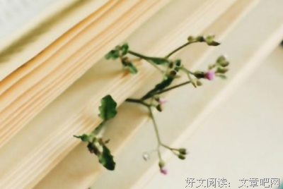 关于平说的座右铭