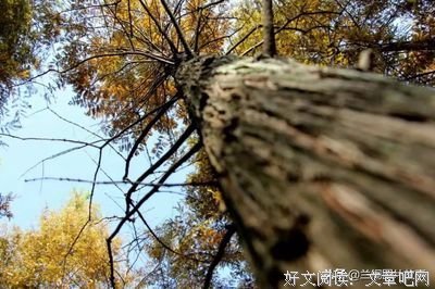 关于南康的语句