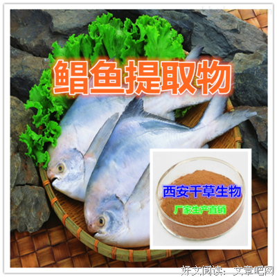关于柏子仁的格言