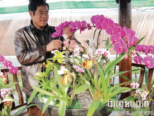 出阁的句子