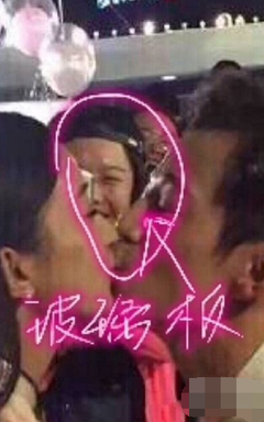 关于何炅的名句摘抄