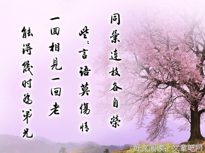 明目张胆格言警句