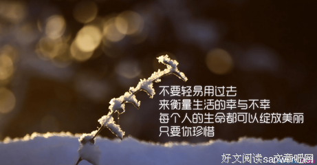 倔强的名言_关于倔强的名言