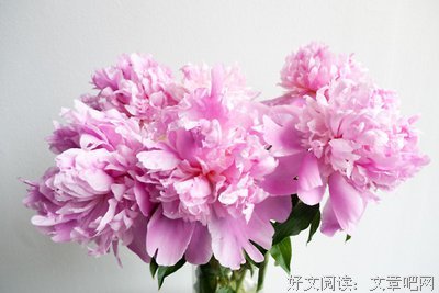 古龙经典名句