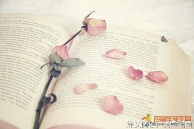 关于朋友圈经营的句子