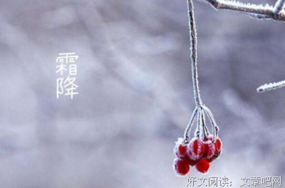 关于暖心的优美句子