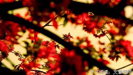 美言句子