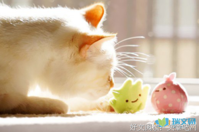 最经典的苏轼名言