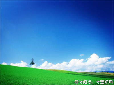 有关药婶名言