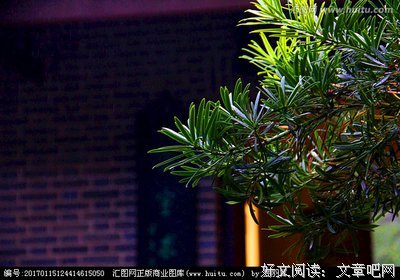 关于贾谊名人名言