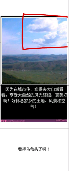 有关路飞的格言