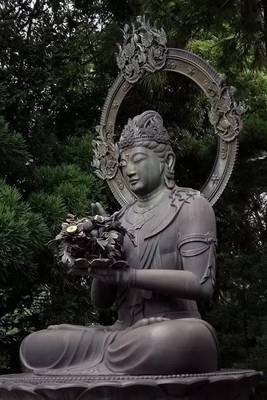 最全的逆流经典名句