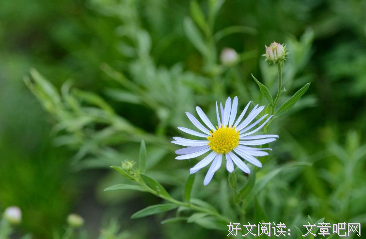 顾城精彩语录