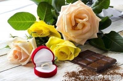 最新的《孤芳不自赏》小说摘抄大全