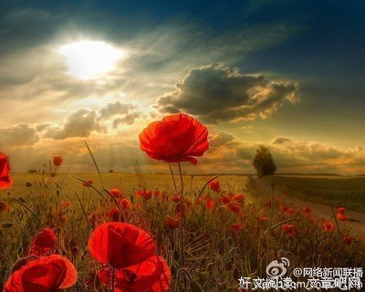 《戏酒战自由》经典语录大全