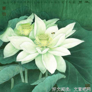 《相思莫相负》经典的句子