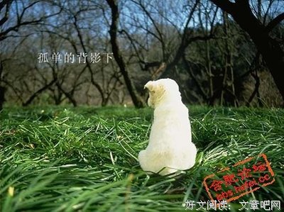 最新的《东京爱情故事》经典句子大全