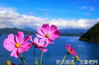 最美的春天，遇见最好的自己