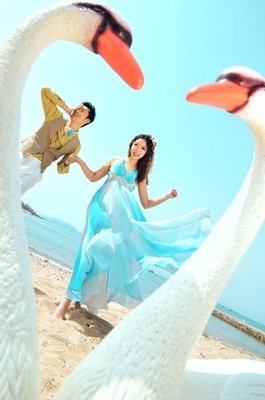关于蒂克的语句