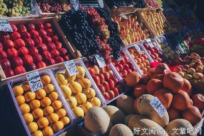 关于哈巴的语句