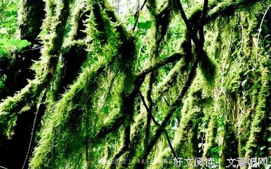 关于欺人太甚的语句