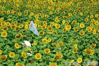 关于千人一面的语句