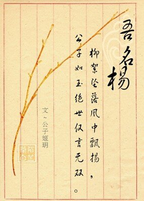 我的句子