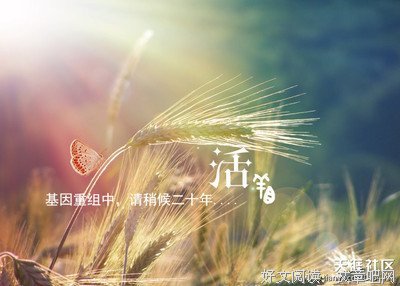 句子迷