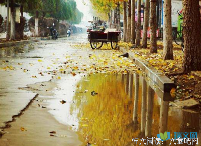 有关秋雨的句子