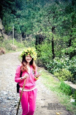 丁丁张的格言