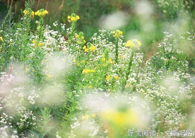 关于冬饮雪座右铭