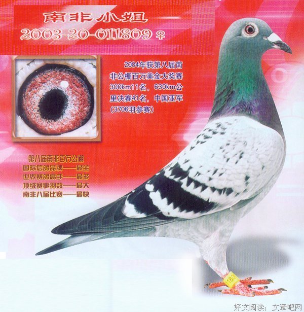 最全的周裕千的名言