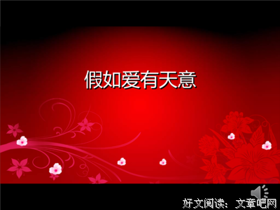 最全的《假如爱有天意》语录摘抄
