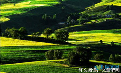 最经典的《孩子你慢慢来》好段摘抄大全