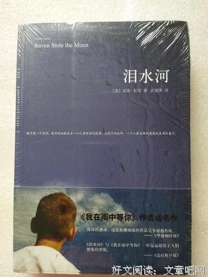 最全的《我在雨中等你》经典语句