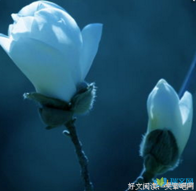 最新的《时间的朋友2016》名句欣赏大全
