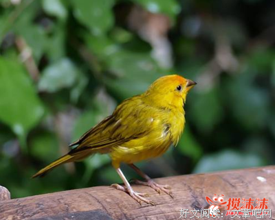 听话丨原谅？不可能！一次忠，百次不容！