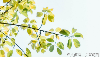 最经典的《如果世界冰封了》佳句摘抄
