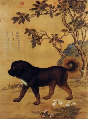 《我当道士那些年》佳句摘抄
