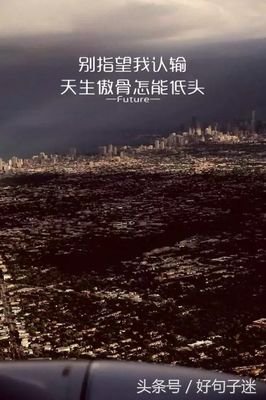 最新的《我曾纯粹爱过你》佳句摘抄