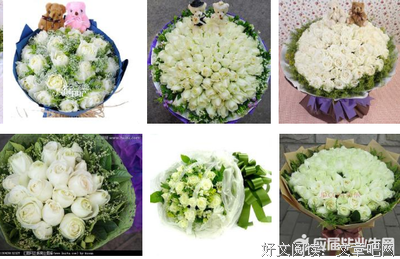 最新的《红玫瑰与白玫瑰》经典句子大全