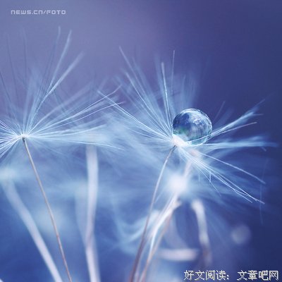 关于倔犟的语句