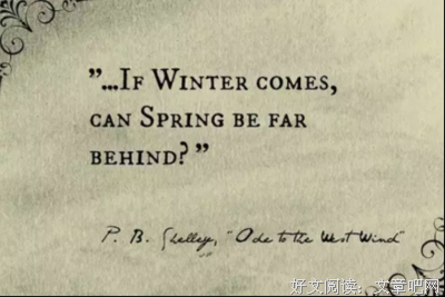 关于英年的语句